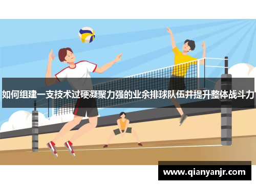 如何组建一支技术过硬凝聚力强的业余排球队伍并提升整体战斗力